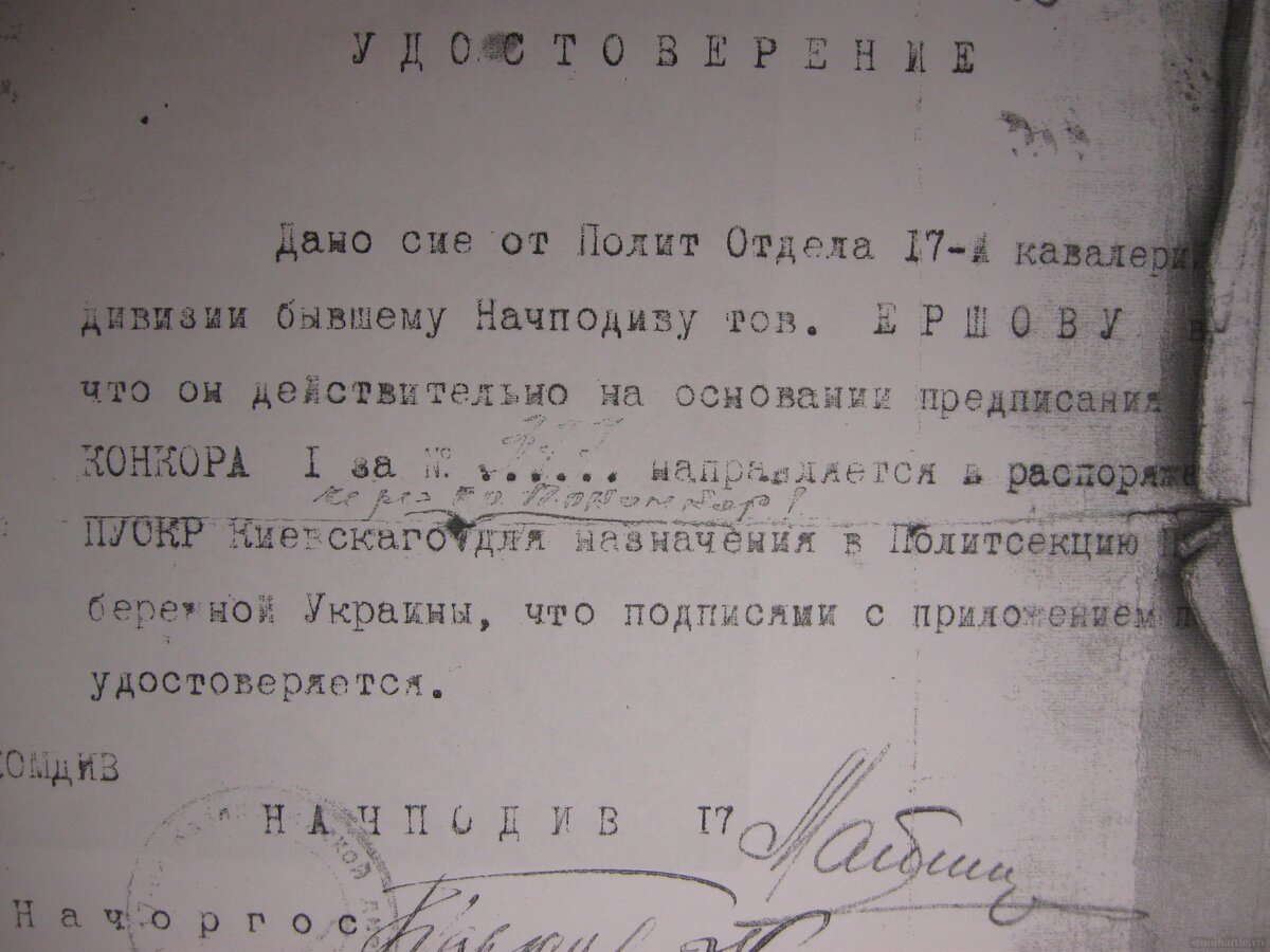Изображение_742.jpg