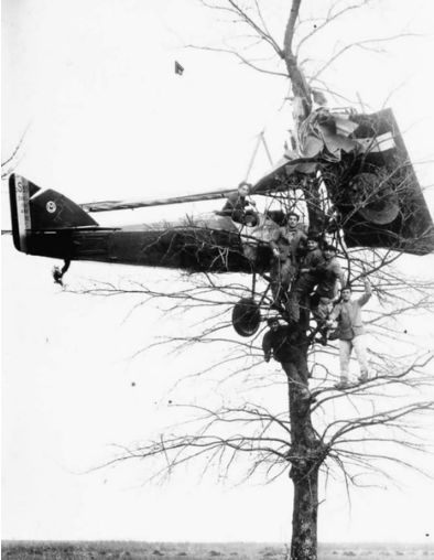 Най_Moran Solnier M.S. 35 и дерево.а.JPG