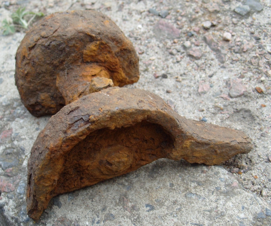 S1054639.JPG