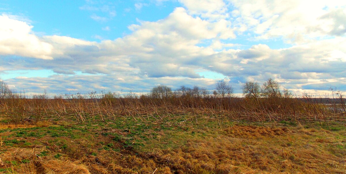 DSCN0921.JPG