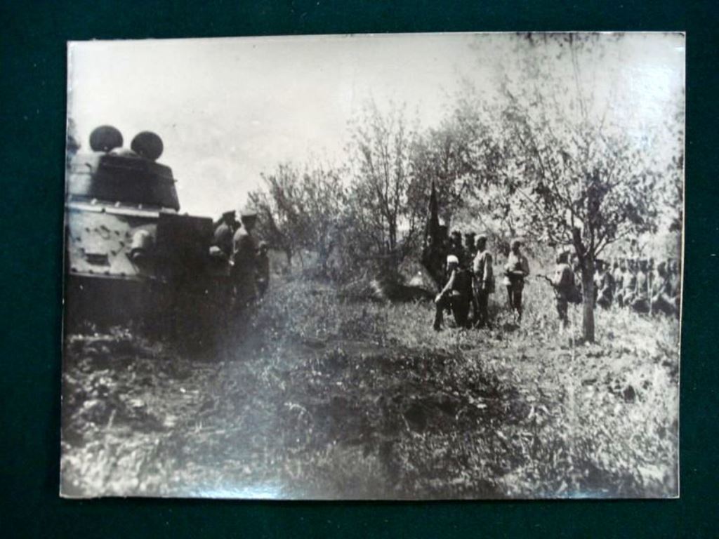 siamz_of_1505-11.jpg