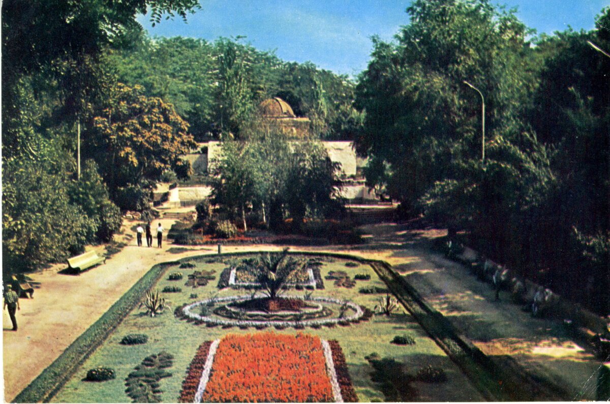fzwsj3f1g48c3cuqjl.jpg