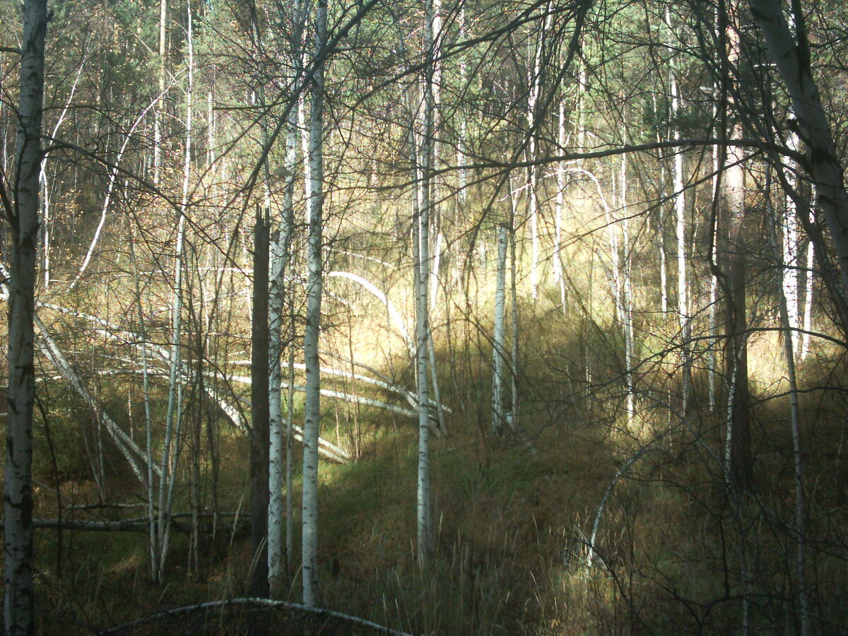 IMAG0015.JPG