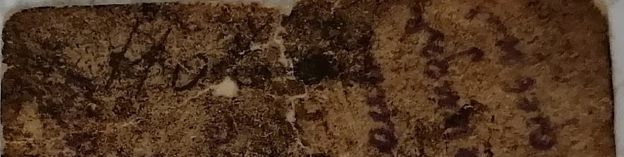 upload_2020-5-22_21-30-47.png