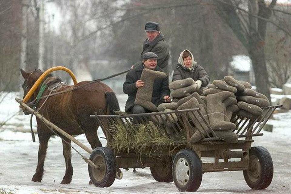 Гужевая повозка