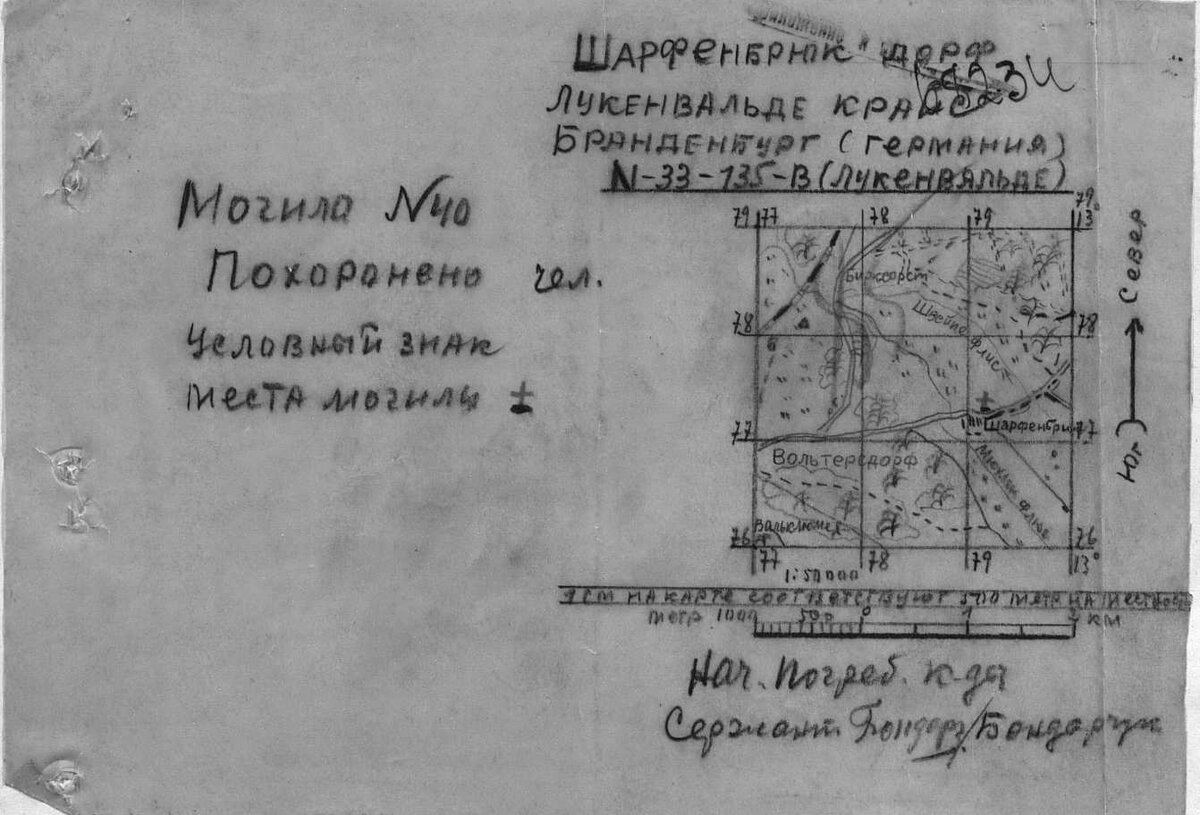 Саку.jpeg