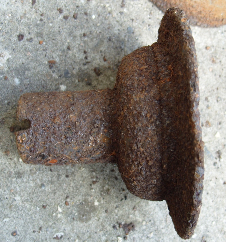 S1055053.JPG