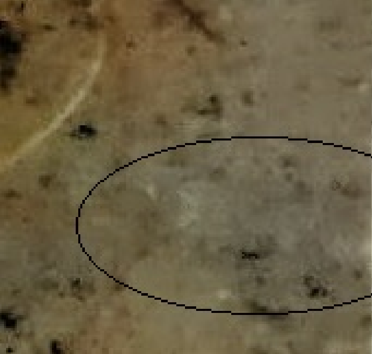 upload_2020-6-11_20-31-23.png
