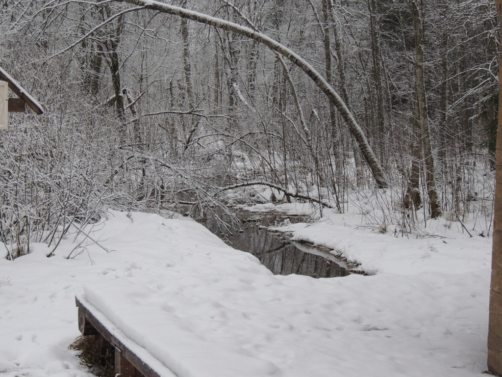 DSCN0532.JPG