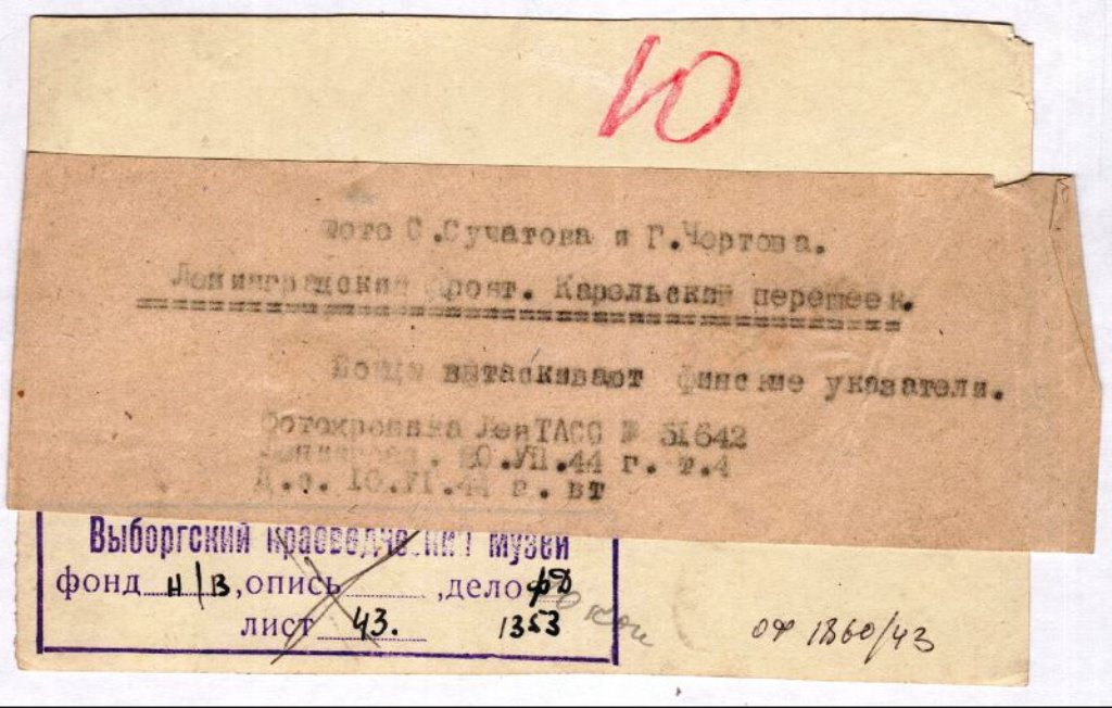3715705.jpg