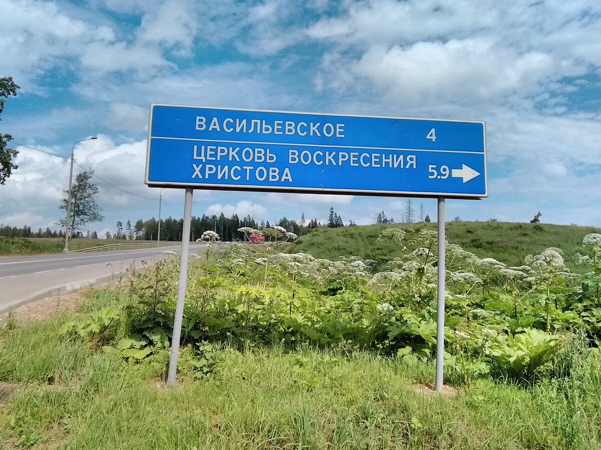 Васильевское Рузский Район Купить