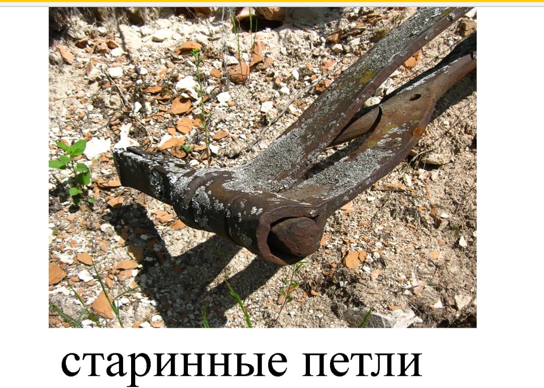 image.jpeg