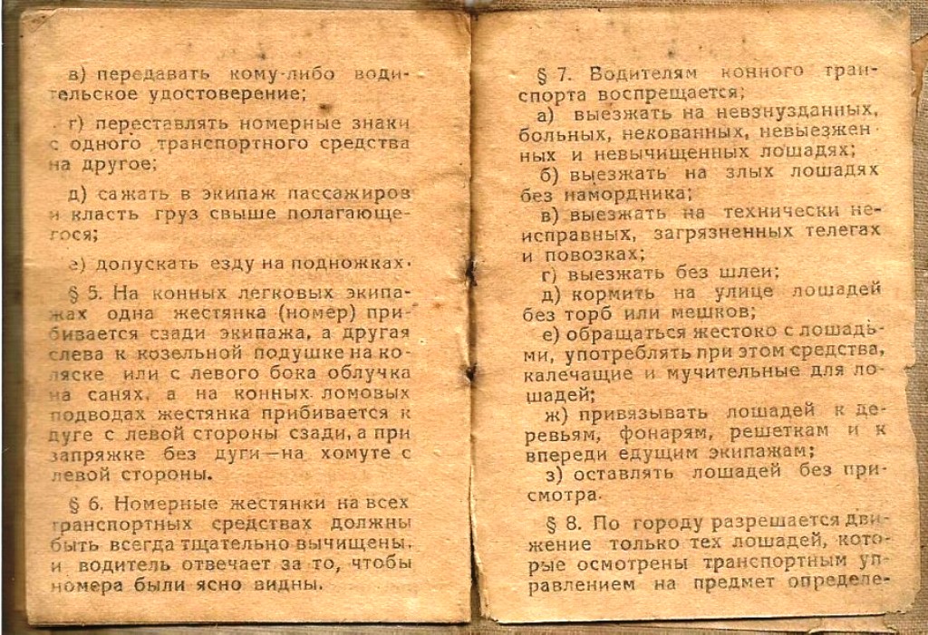 05.jpg