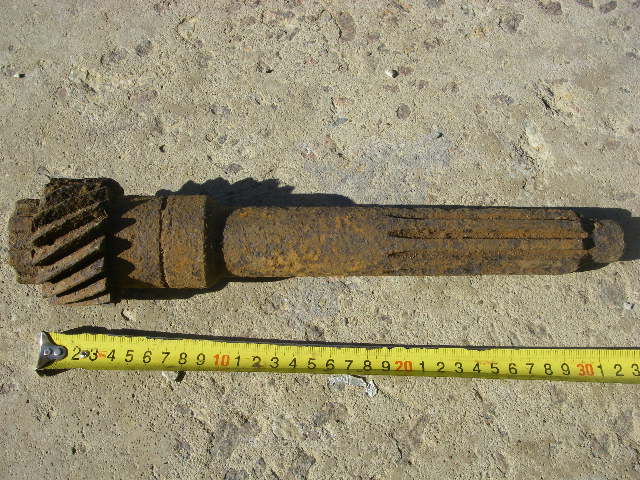 IMGP6856.JPG