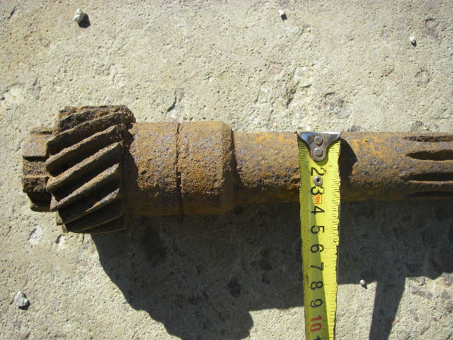 IMGP6859.JPG