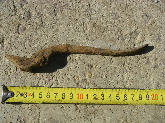 IMGP6855.JPG