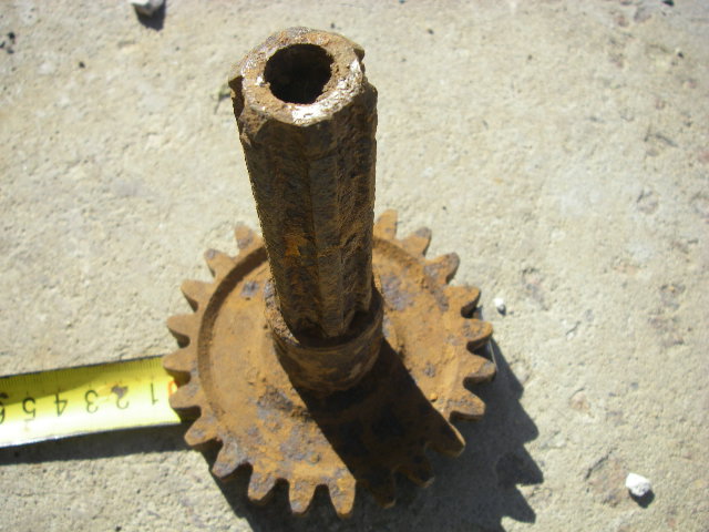 IMGP6865.JPG