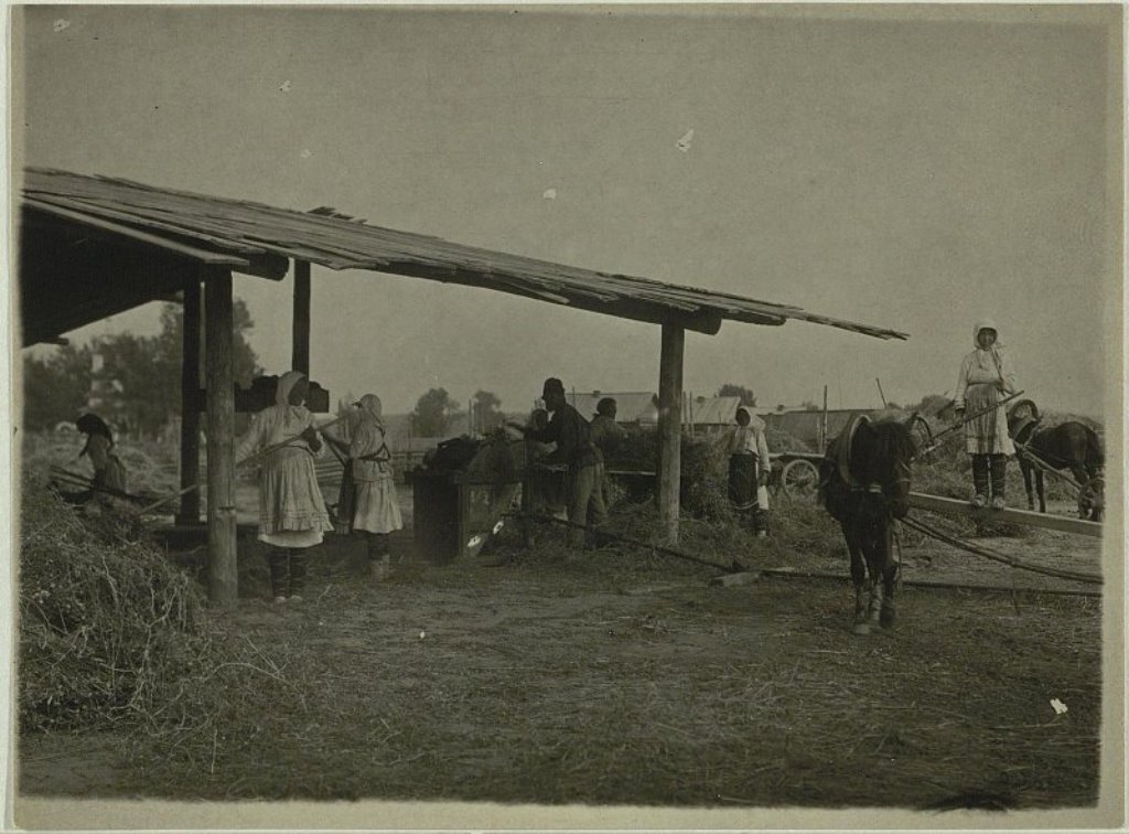 1189327.jpg