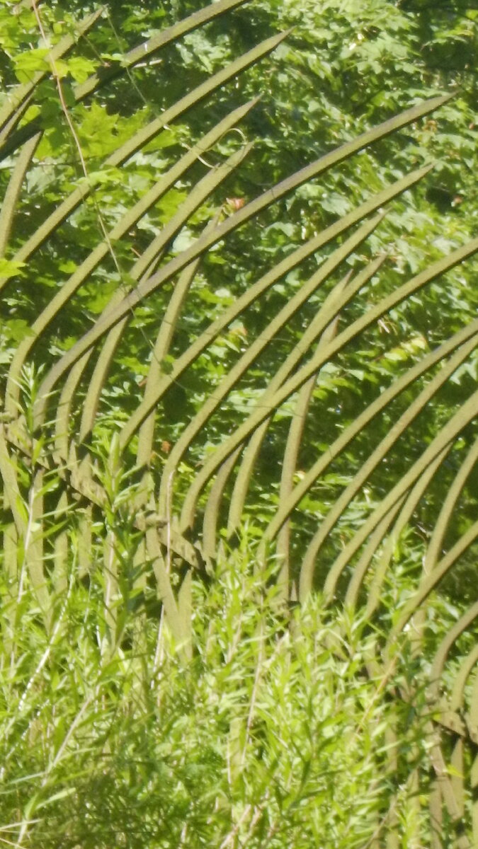 DSCN1293.JPG