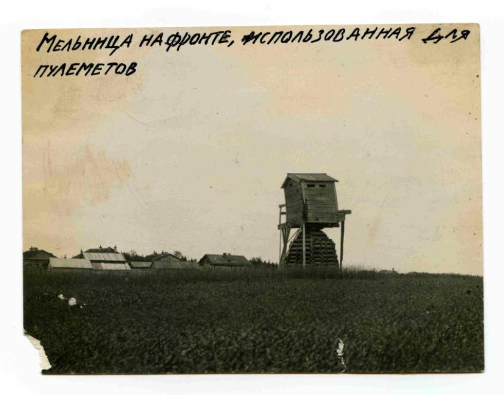 3835317.jpg