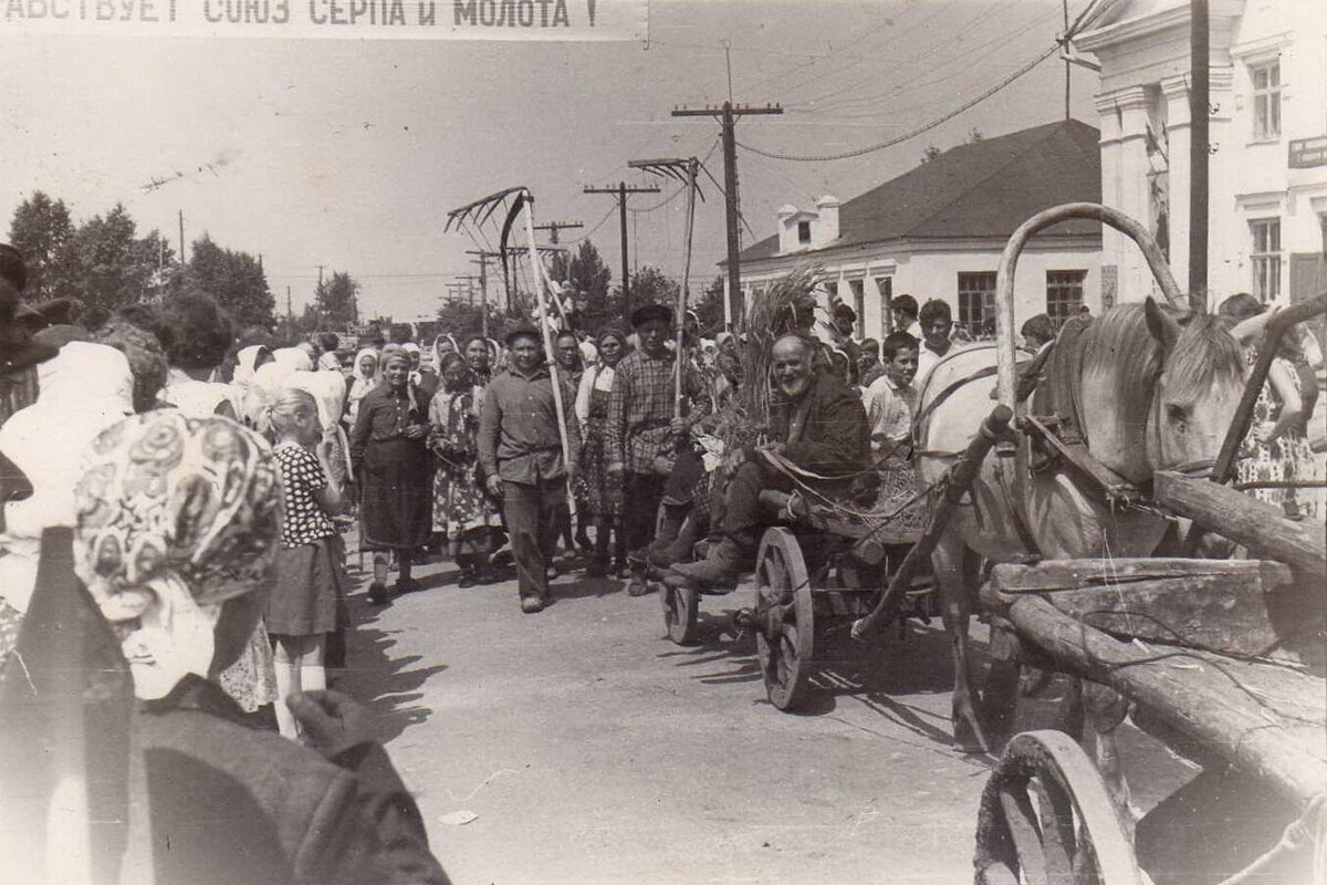 ioizc14p7mv3y2v9fj.jpg
