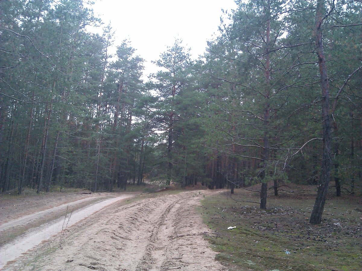 IMG_20131017_151256.jpg