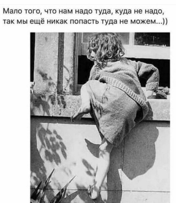 006ec76a58ffcda17f5a8e414432381d.jpg