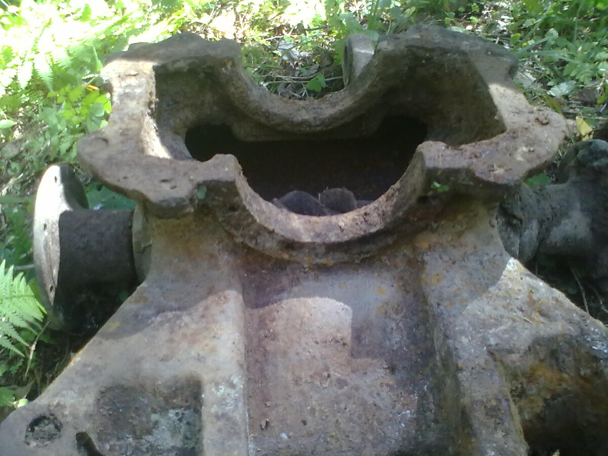 003.jpg