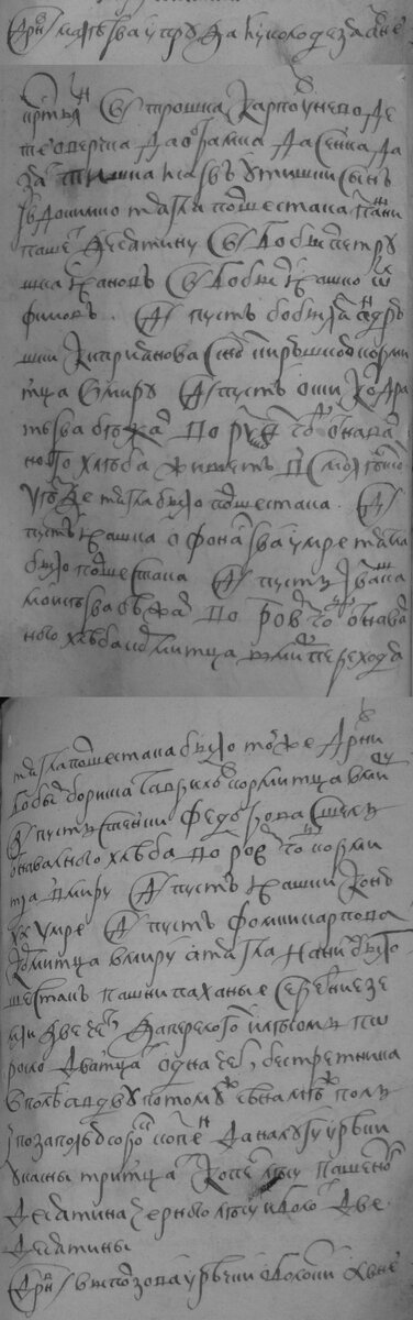 Малеева-1666.jpg