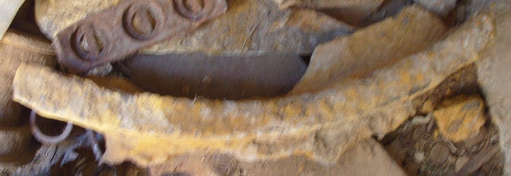 S1056077.JPG