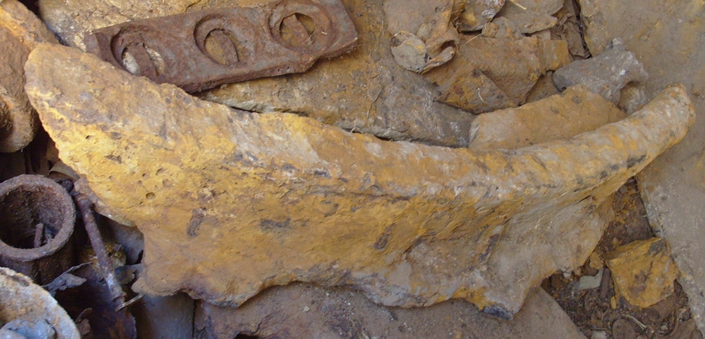 S1056076.JPG