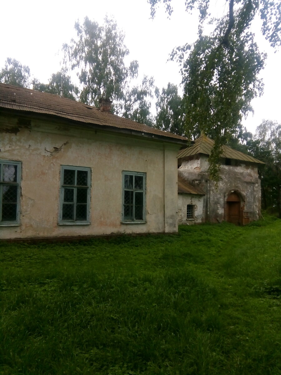 IMG_20200815_104723.jpg