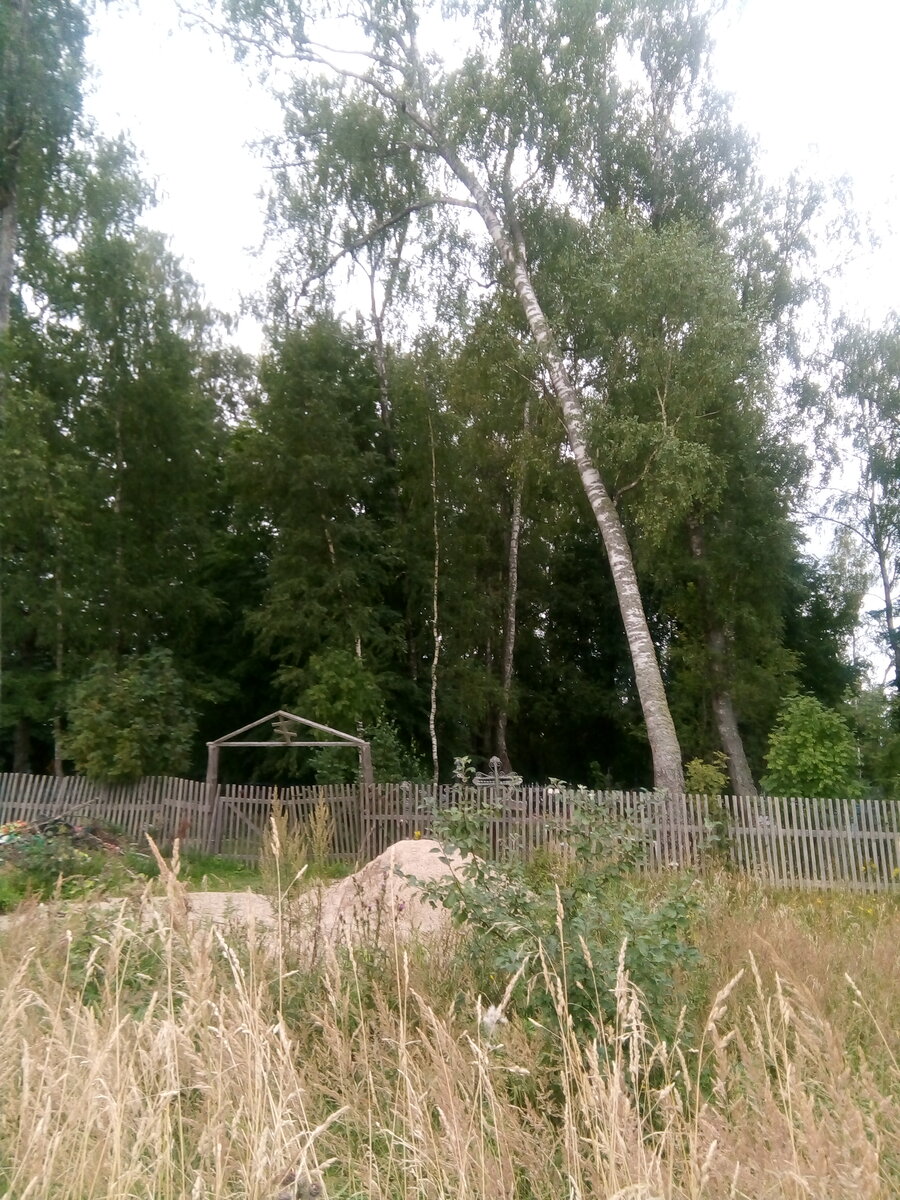 IMG_20200815_113252.jpg