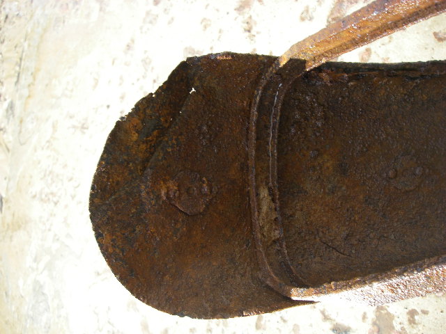 IMGP6950.JPG