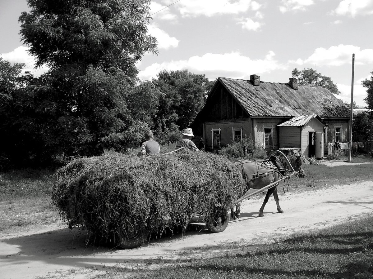 Сельская жизнь в деревне