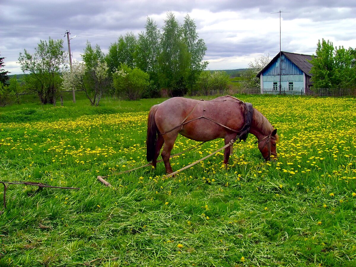 DSC07907_edorig.jpg