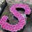 Salta _444