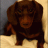 Ines